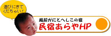 越前がにとへしこの宿 民宿あらやホームページへ