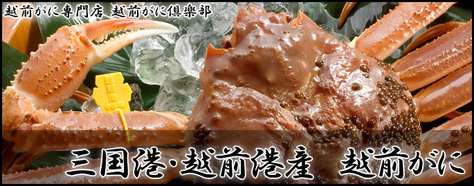 越前かに通販  越前がに倶楽部