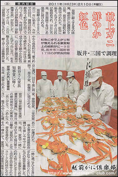 2011年2月10日 福井新聞「献上ガニ鮮やか紅色」