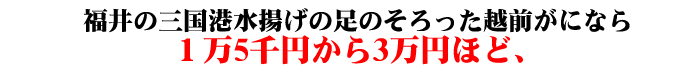 �z�O���ɂ̉��i