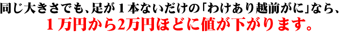 �킯����z�O���ɂ̉��i