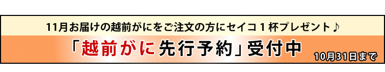 越前がに先行予約