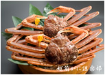 越前がに特大2杯セット
