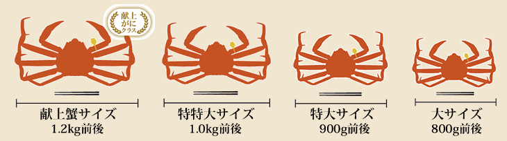 越前ガニ大きさ比較