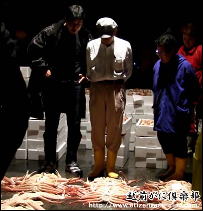 越前がに漁 解禁 11月6日 初セリ
