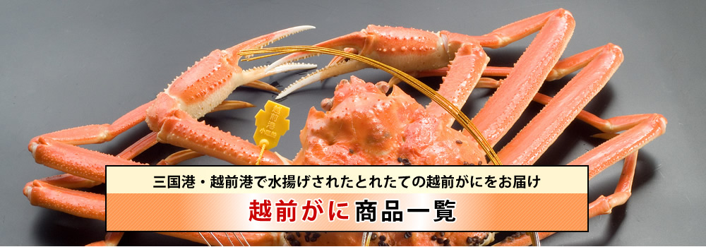 越前がに商品一覧